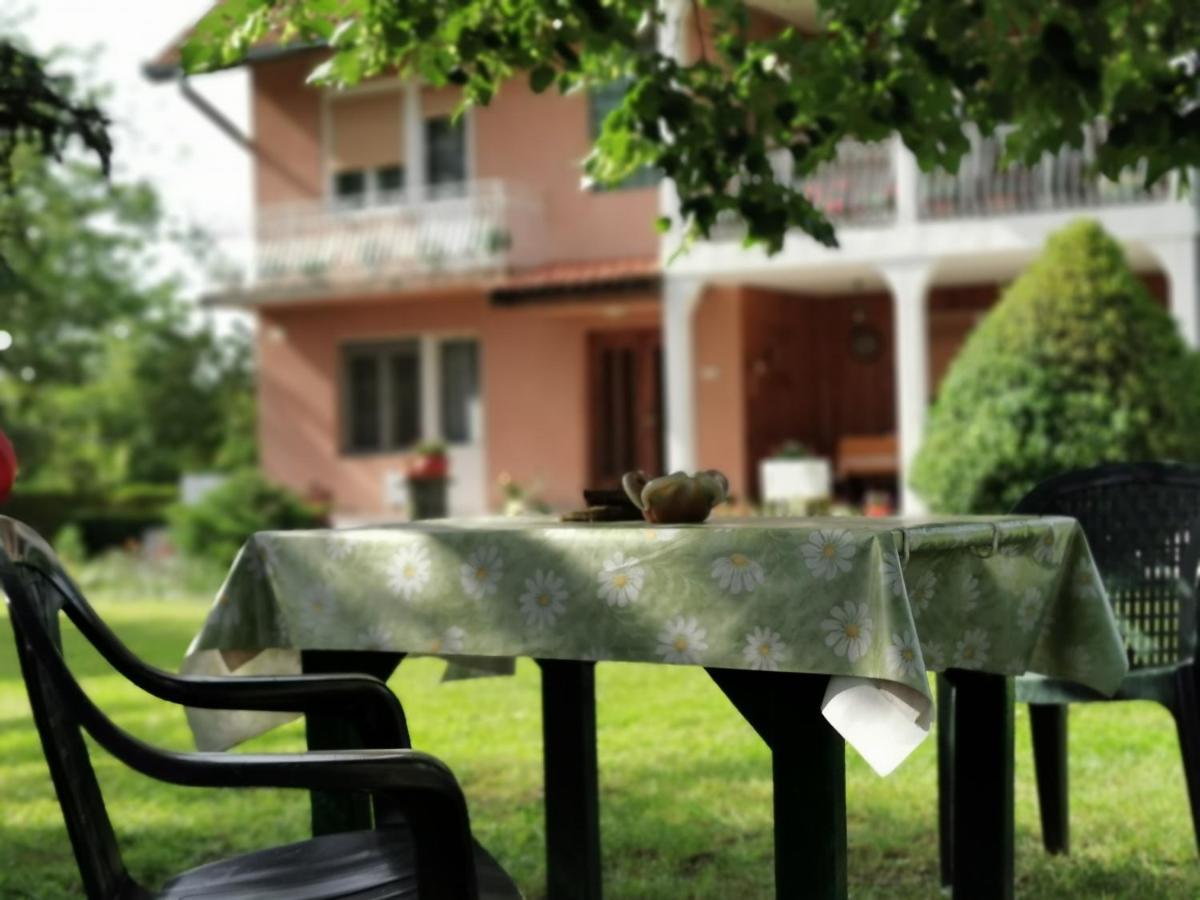 Apartments Domacinstvo Nikolic Valjevo Exterior foto